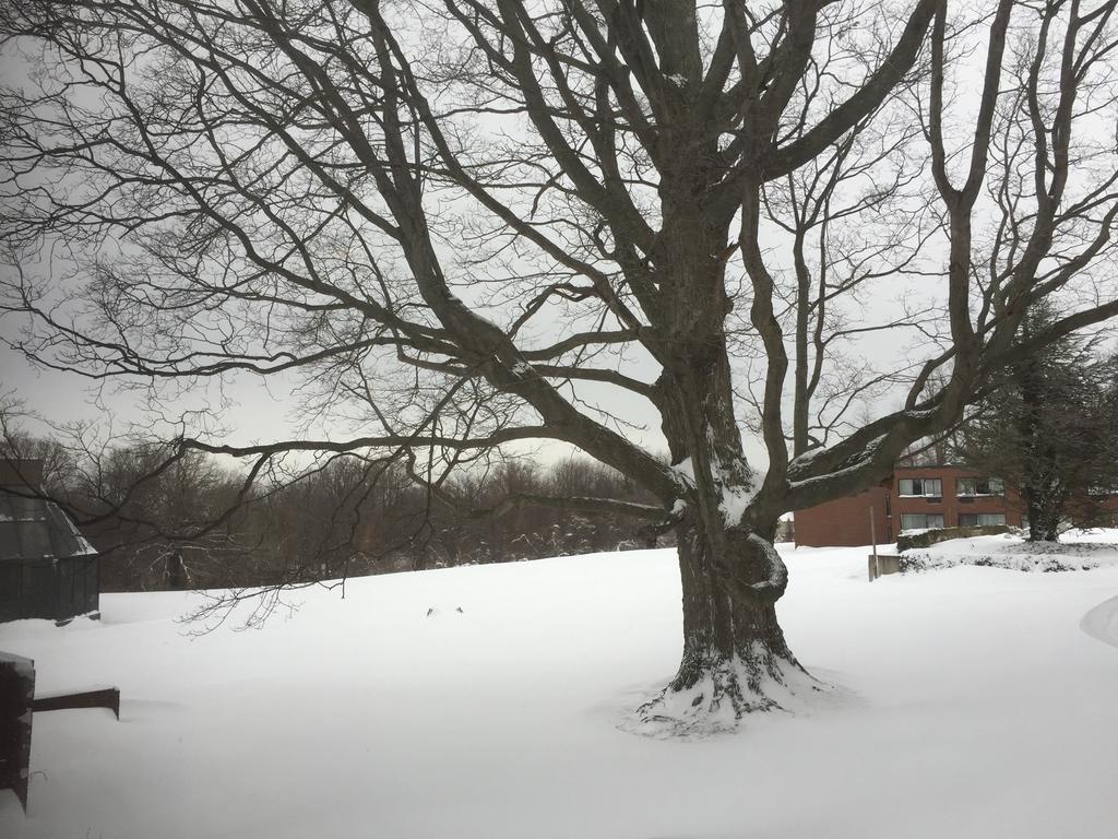 מלון Glen Cove Mansion מראה חיצוני תמונה